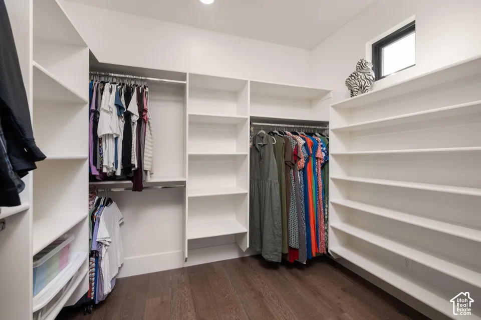 Expansive walk-in closet featuring custom built-in shelving, multiple hanging rods, dark wood-finish flooring, and a transom window