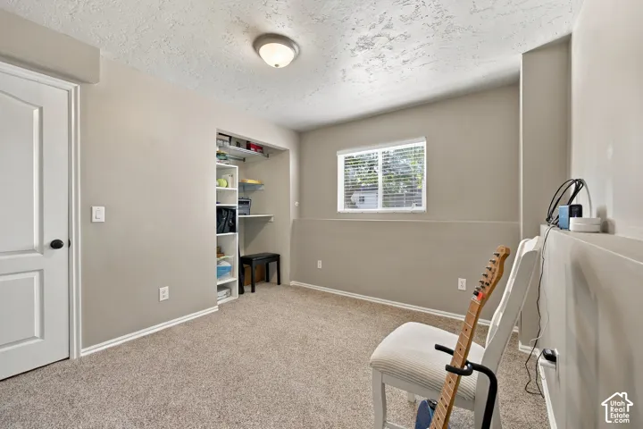 Wall-to-wall carpeting, window with blinds, overhead lighting, and built-in closet shelving