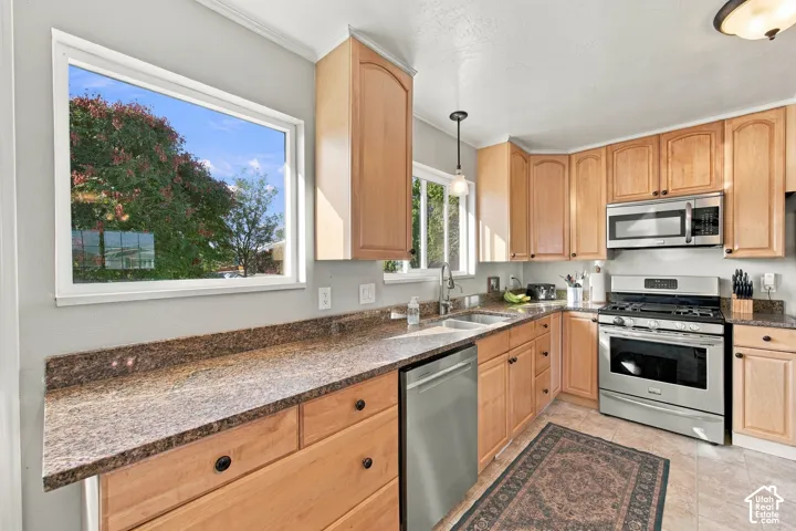 Light wood cabinetry, stainless steel appliances, dual basin sink, and ample countertop space