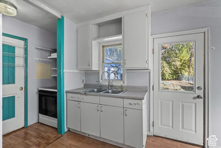 Kitchen featuring white cabinetry, a dual-basin stainless steel sink with a goose-neck faucet, wood-finish flooring, and a half-glass exterior door