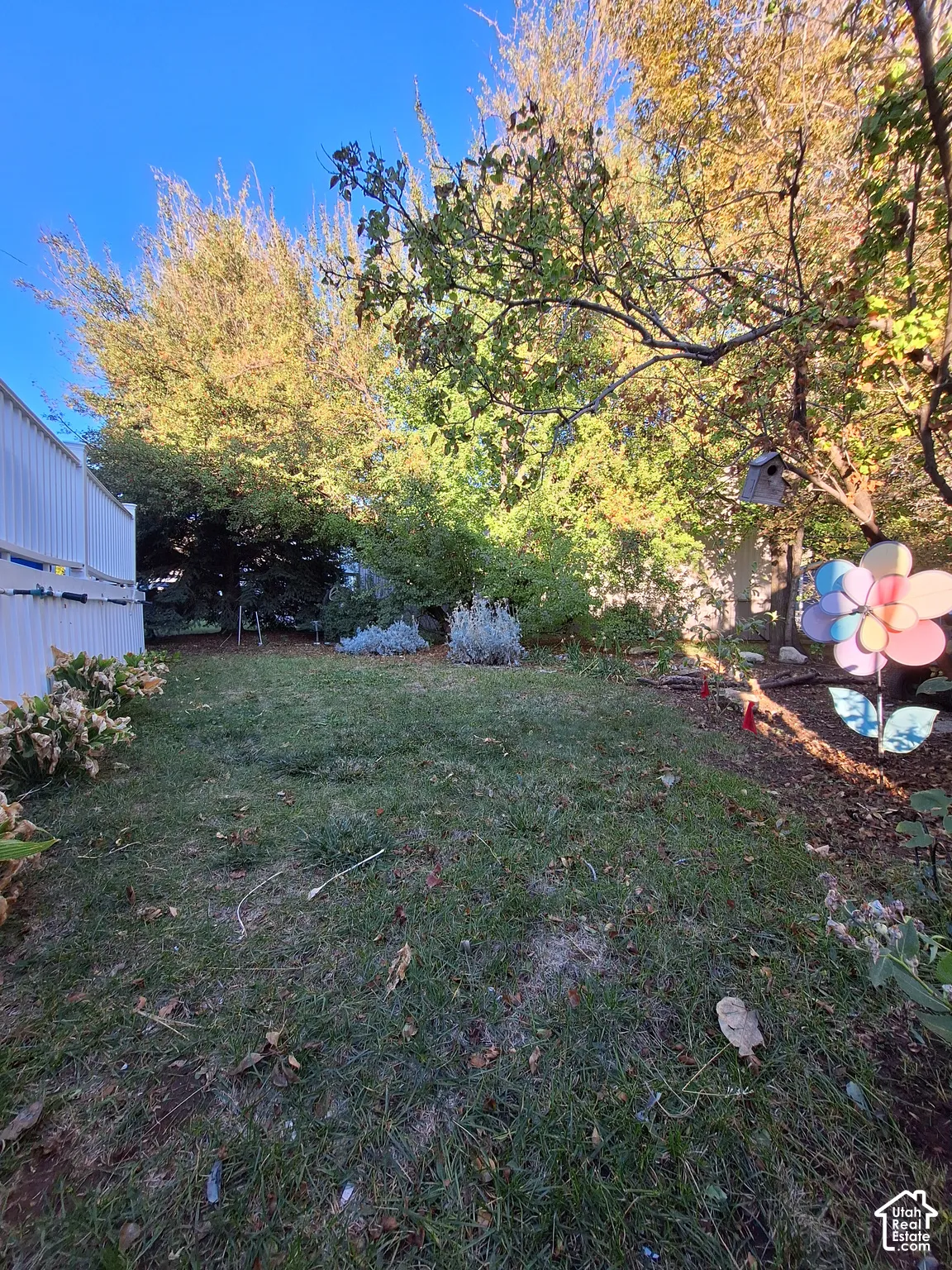 Expansive outdoor area with mature trees and established plantings