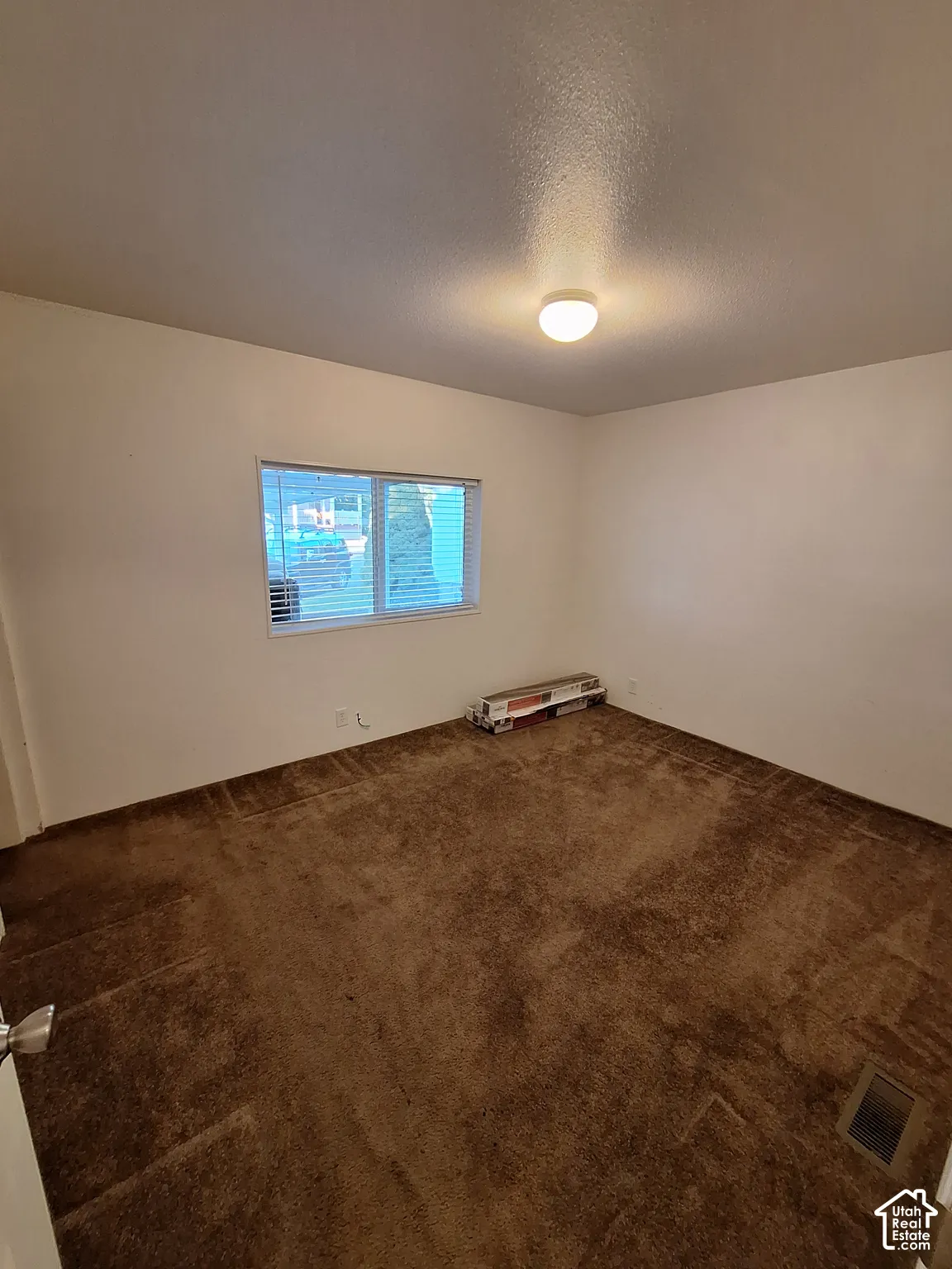 Window with horizontal blinds and ceiling-mounted light fixture in a carpeted room