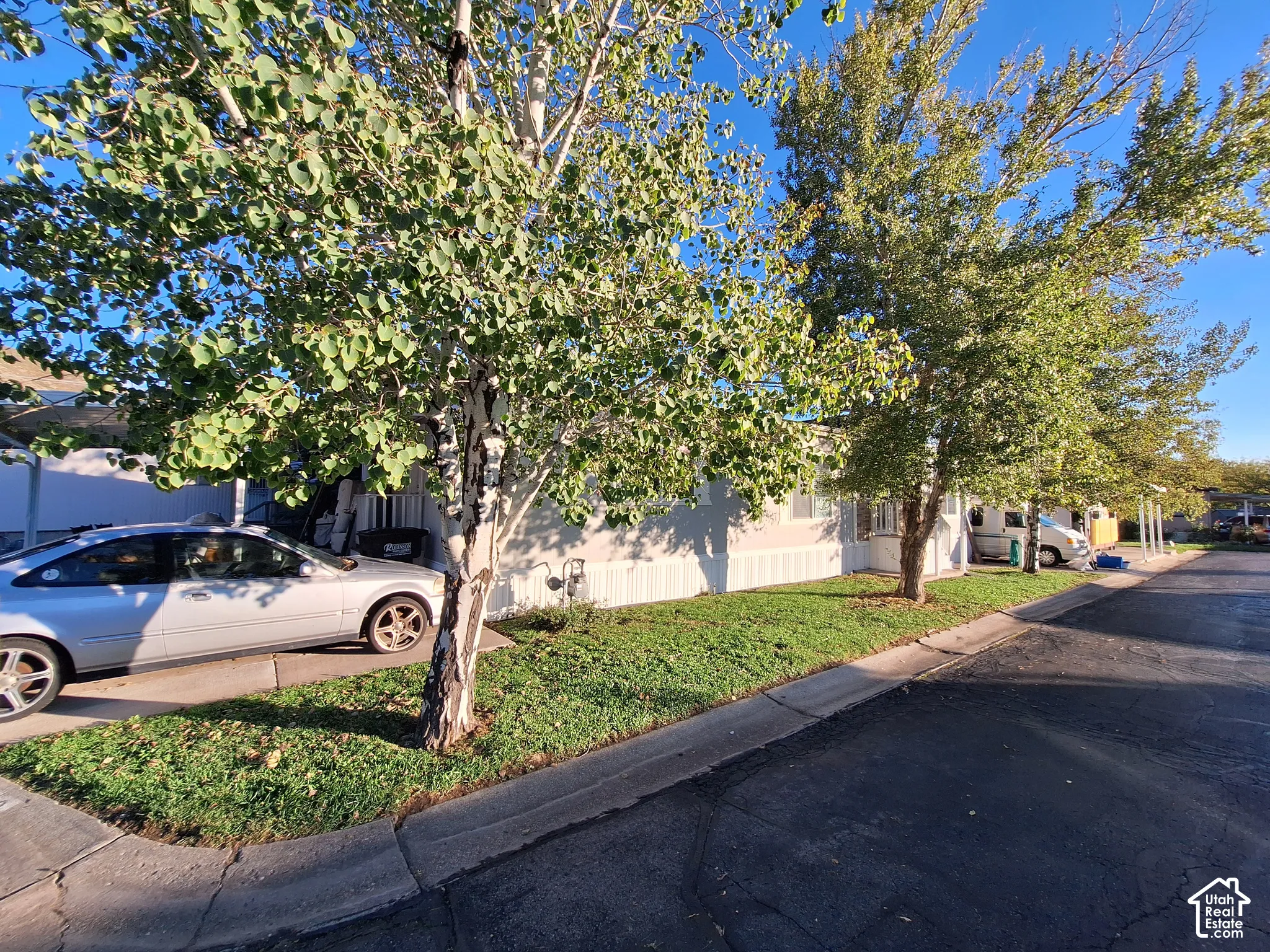 Manicured lawn with mature trees and paved driveway