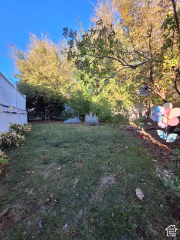 Expansive outdoor area with mature trees and established plantings