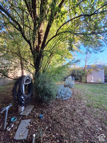 Mature trees providing natural canopy, established landscaping, and a detached storage shed