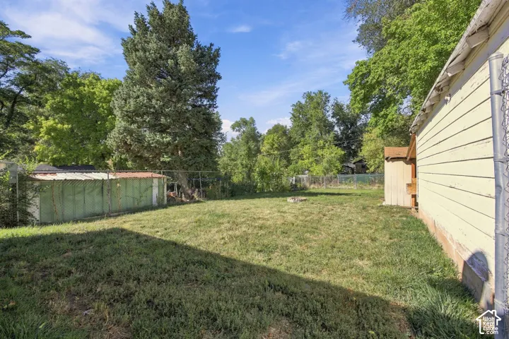 Expansive green space featuring a chain-link fence and mature trees