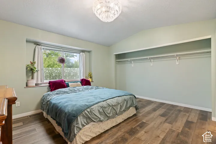 Vaulted ceiling, wood-finish flooring, recessed window, built-in closet shelving, and a decorative ceiling light fixture