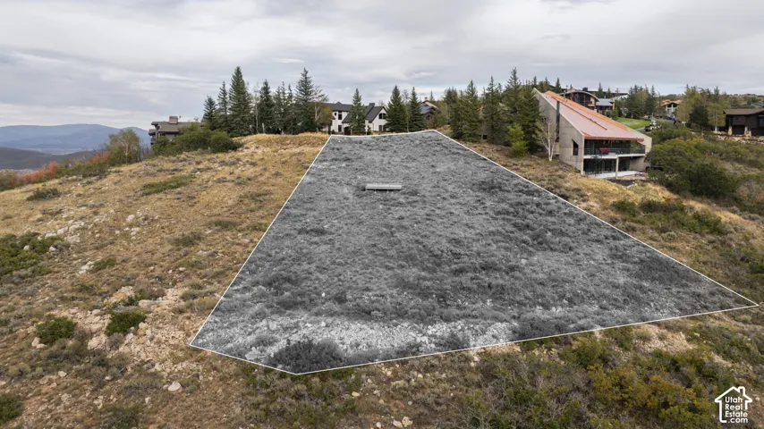Graded lot with an expansive cleared build area and natural landscaping