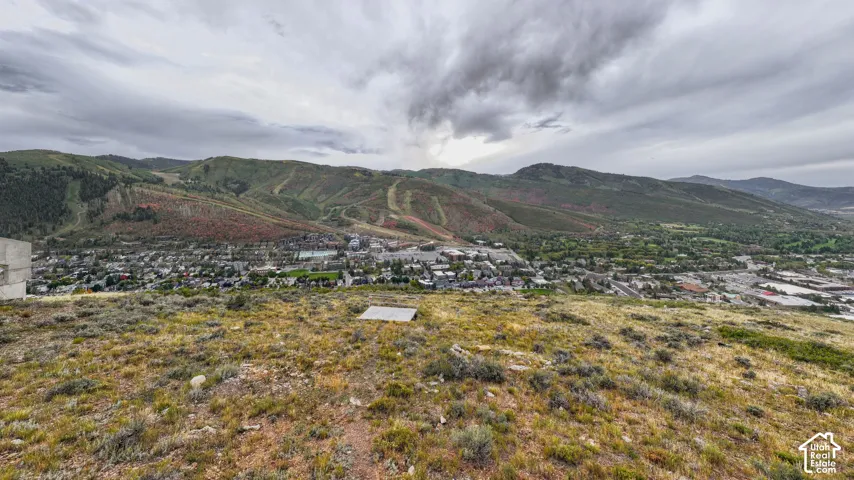Expansive landscape featuring distant mountains, a widespread community, and natural ground cover
