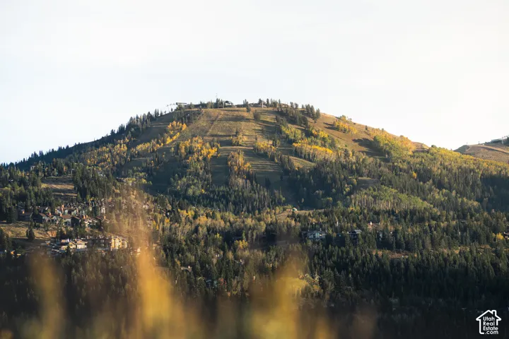 Mountain terrain featuring evergreen and deciduous trees, with scattered structures visible on the slopes