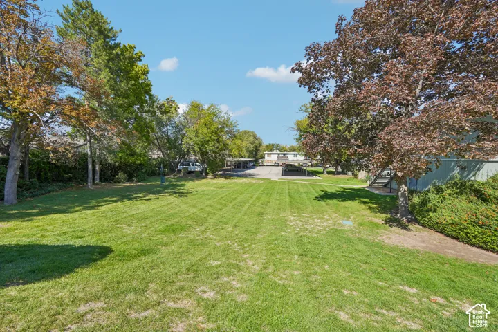 Expansive green space with mature trees