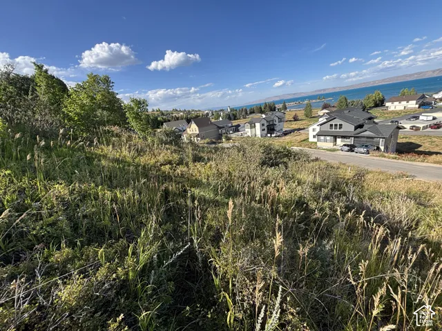 Expansive undeveloped lot featuring natural vegetation and a distant body of water
