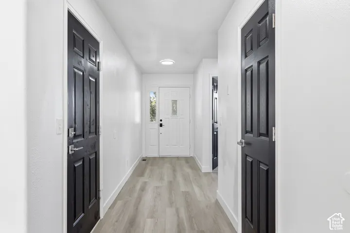 Entryway featuring light LVP-finish flooring, white walls, and dark paneled doors