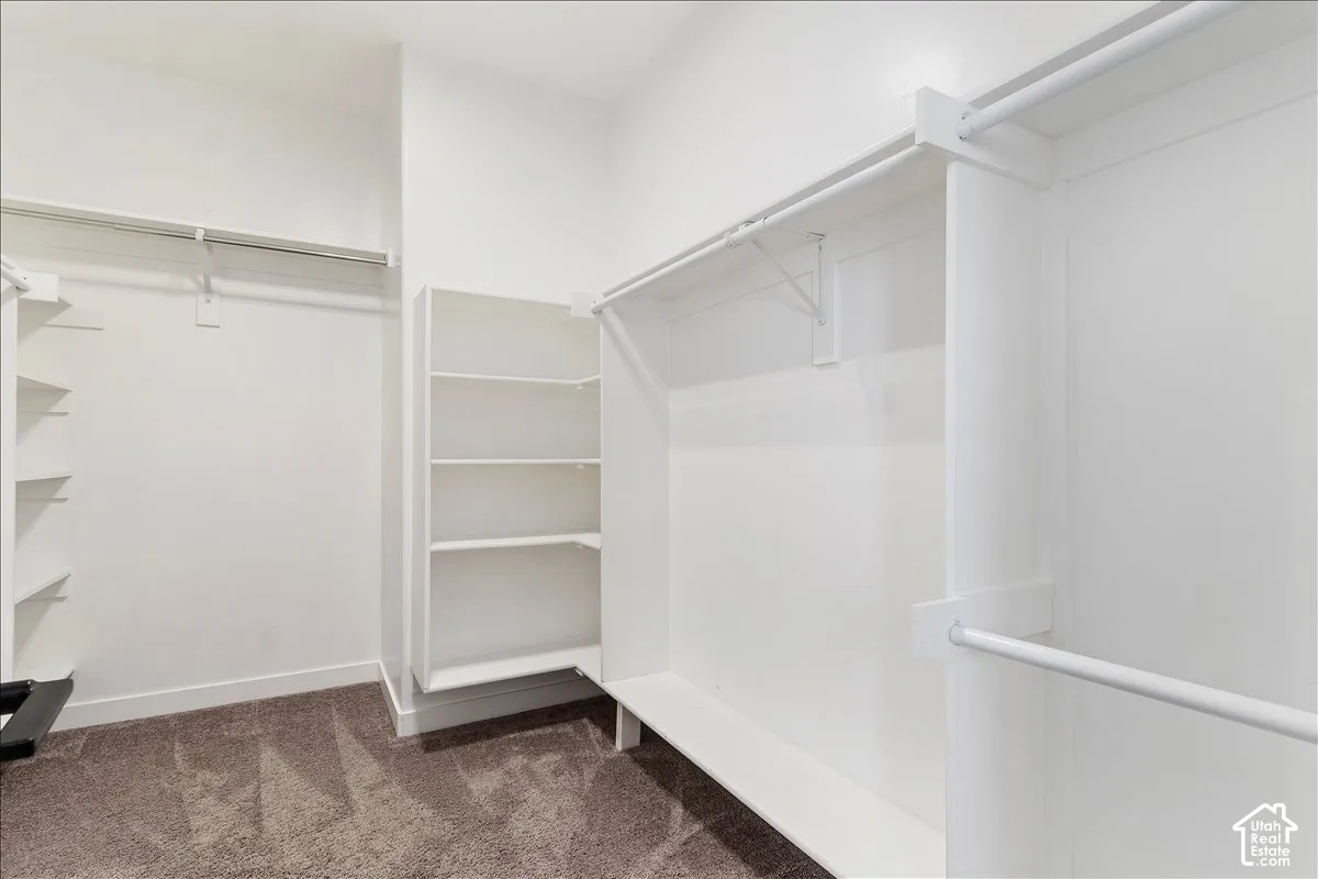 White wall-mounted shelving, built-in clothing rods, and carpeting
