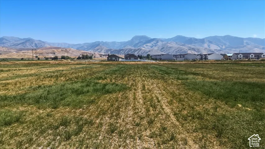 Expansive undeveloped land featuring a mix of green and dry grasses