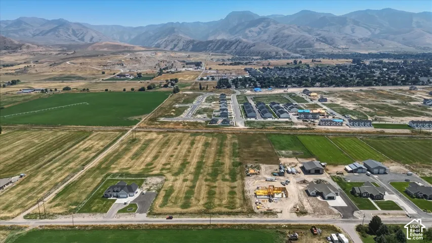 Expansive agricultural fields with distant mountain scenery