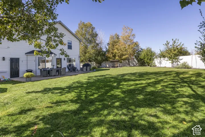 Expansive lawn with mature trees and a concrete patio