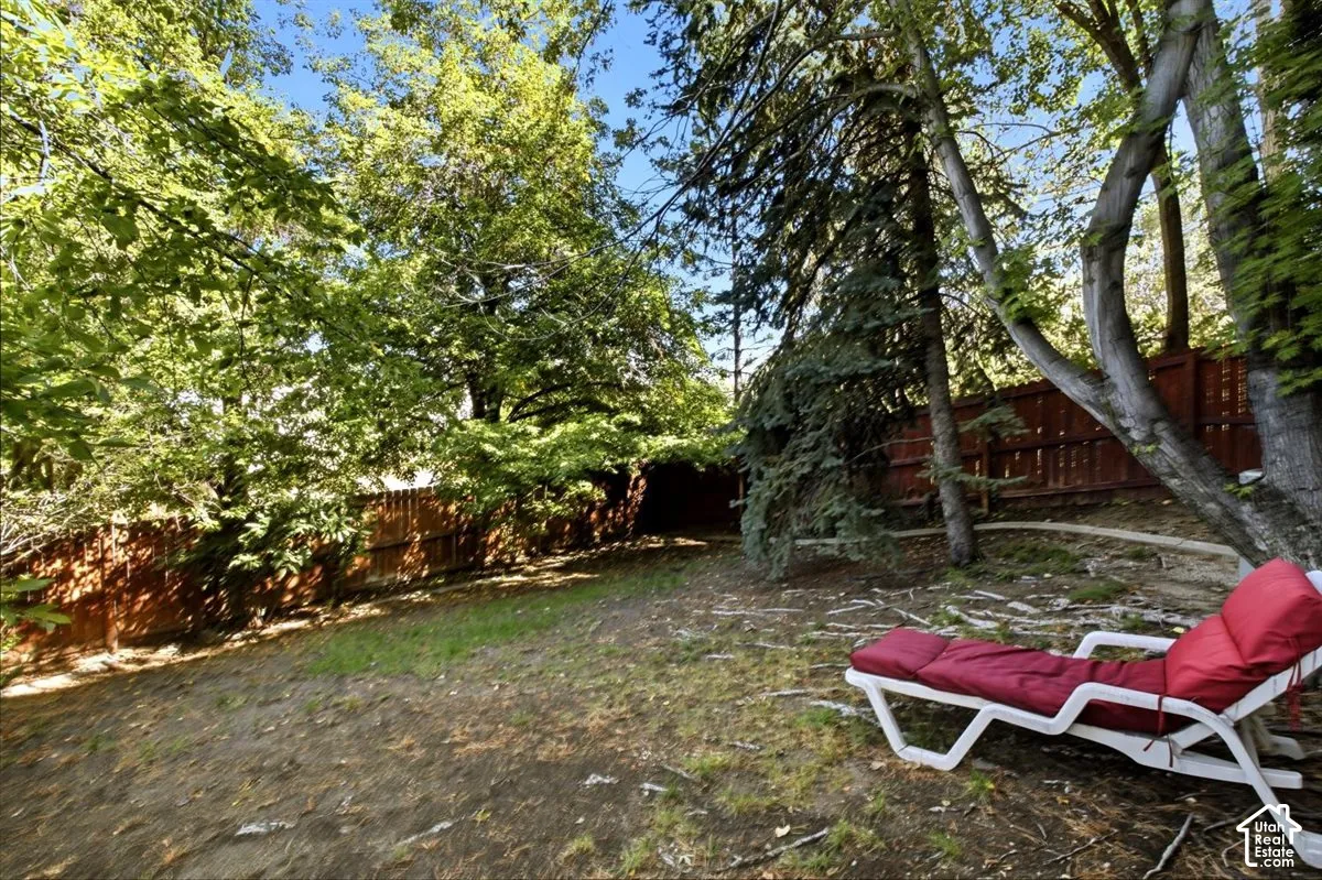 Private backyard with mature trees and wood fencing
