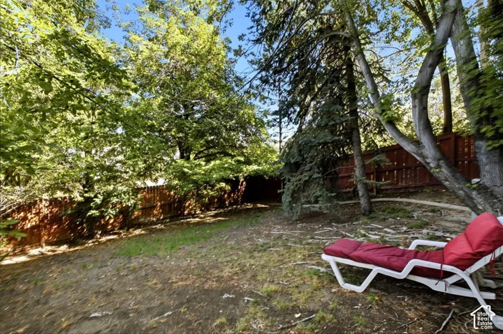 Private backyard with mature trees and wood fencing