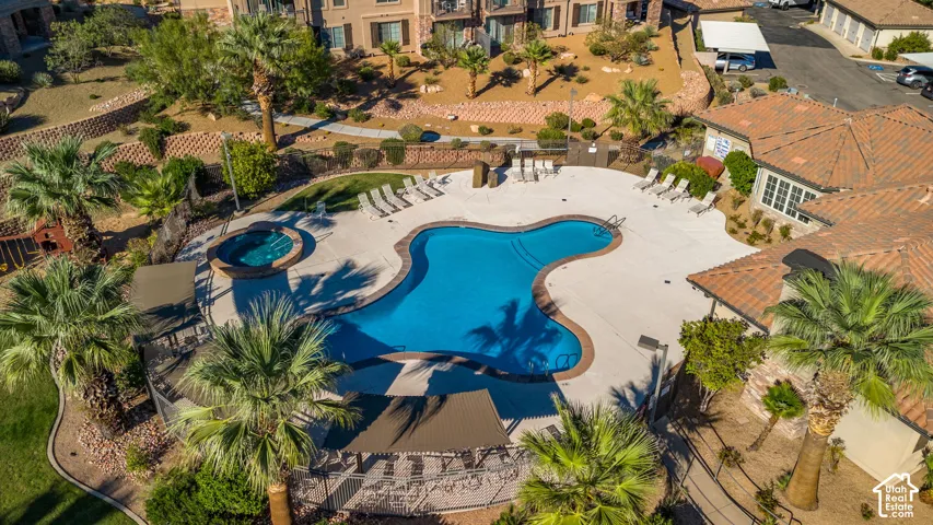 Resort-style pool with integrated spa, surrounded by lounge chairs and mature palm trees