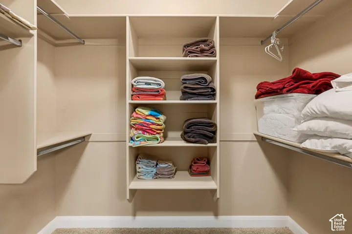 Built-in closet system featuring multiple shelves, hanging rods, and neutral-toned carpeting