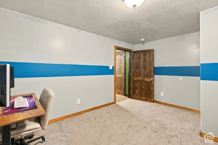 Textured ceiling, wall-to-wall carpeting, wood-finish trim, and solid wood doors