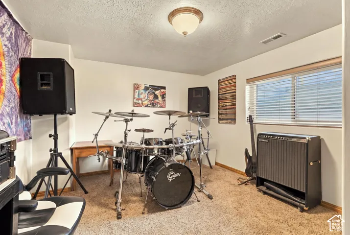 Recessed window with blinds, carpet flooring, ceiling-mounted light fixture