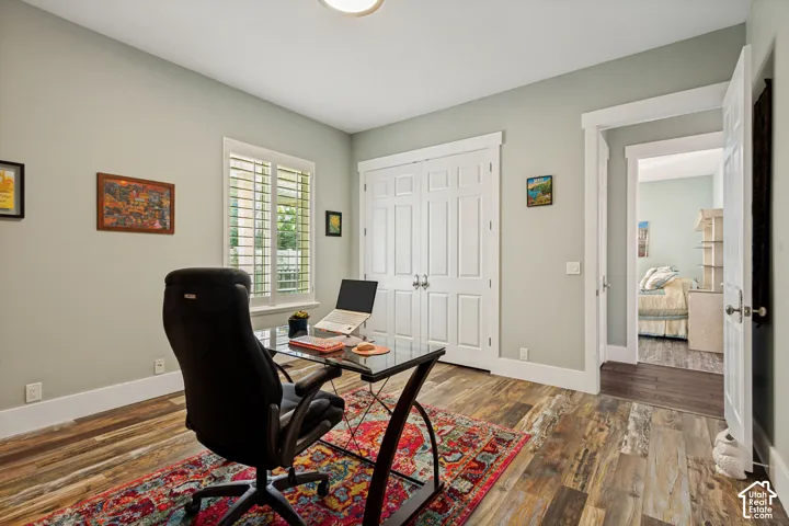Wood-finish flooring, white plantation shutters, double closet doors with white trim, and a contemporary ceiling light fixture