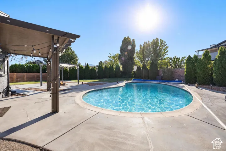Freeform swimming pool with concrete decking, a large covered patio structure, and established perimeter landscaping