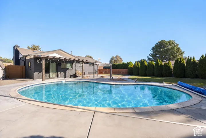Sparkling oval saltwater pool with sun shelf and integrated lighting, surrounded by expansive concrete decking