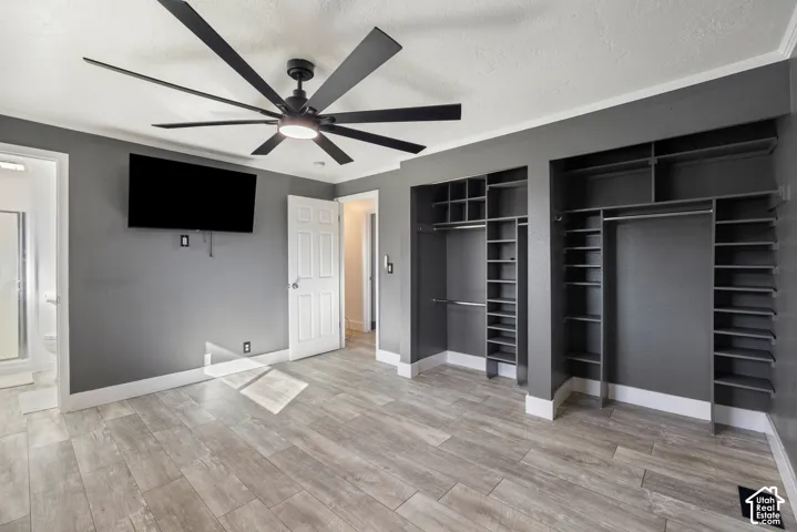 Spacious primary suite featuring wood-finish flooring, gray accent walls, and a modern ceiling fan with integrated lighting