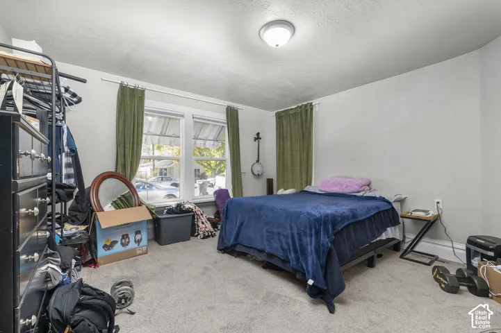 Carpeted room featuring a flush-mount ceiling light and two windows with white trim