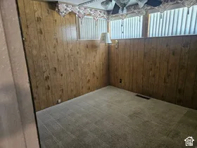 Wood-finish paneling, horizontal blinds, ceiling fan, and carpeted flooring