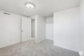 Plush carpeting, recessed lighting, and a built-in closet with hanging rod