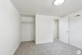 Neutral wall color, wall-to-wall carpeting, overhead flush mount light fixture, built-in closet shelving, and a solid core door