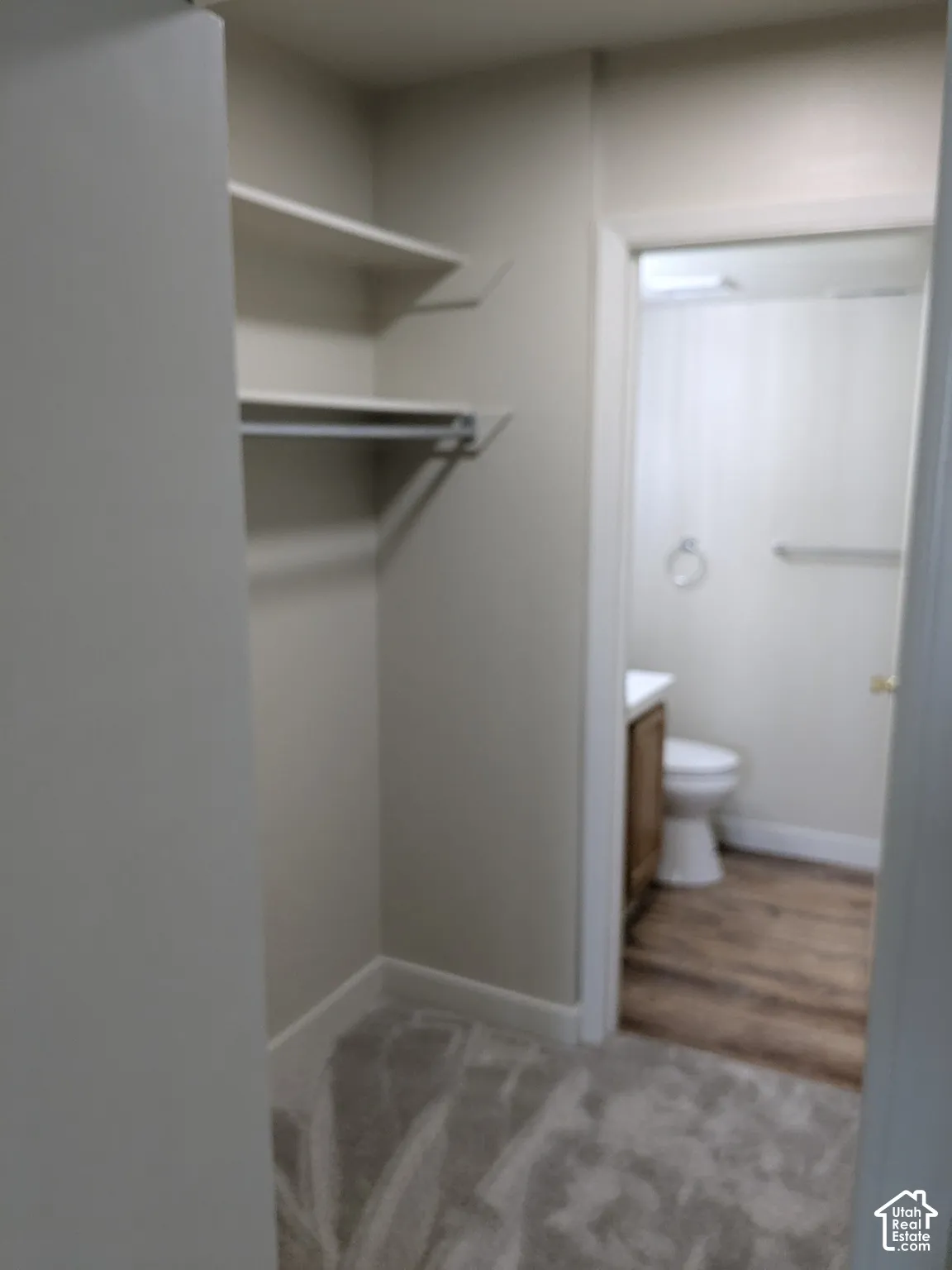 Carpeted room featuring built-in shelving and a clothing rod, with an adjacent bathroom offering wood-finish flooring and a vanity with a white countertop