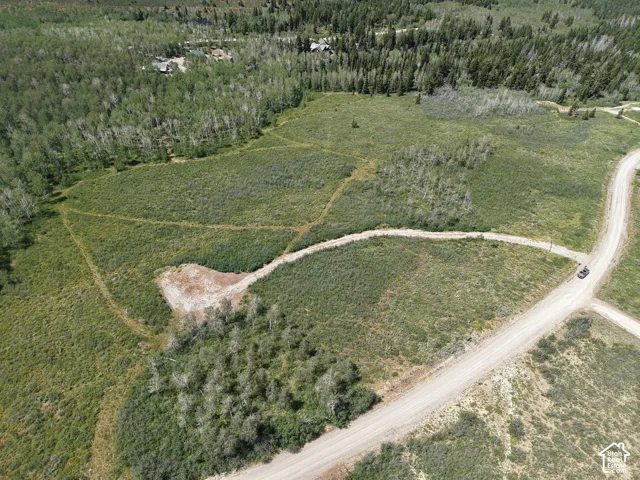 Expansive undeveloped parcel featuring established dirt roads, a natural clearing, and varied tree coverage