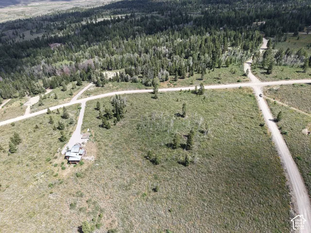 Expansive land parcel featuring a single-story structure, multiple dirt access roads, and surrounding forest