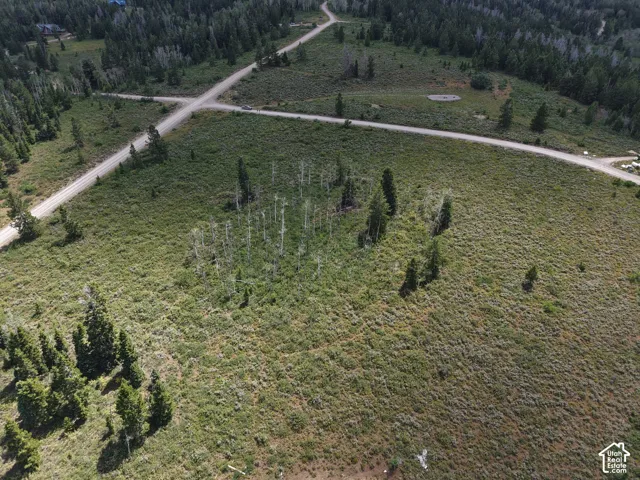 Expansive undeveloped land featuring natural foliage and a dirt road network