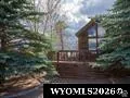 Real estate image with a MLS number. A structure with an elevated platform surrounded by vegetation