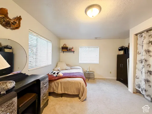 Neutral wall paint, textured ceiling, two windows with blinds, carpeted flooring, and a built-in closet with a floral curtain