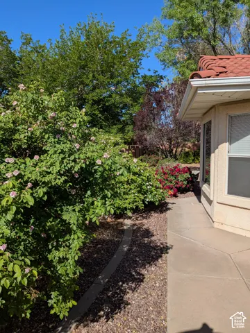 Tiled roofline, stucco exterior, multiple windows, concrete pathway, and mature landscaping with flowering bushes