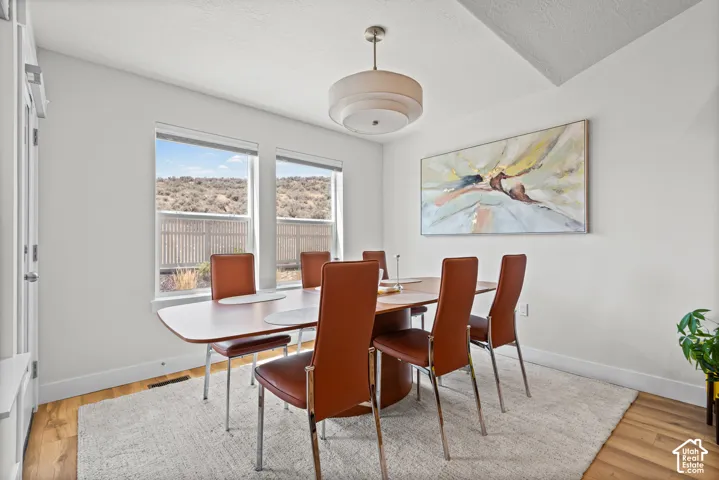 Natural light from two windows illuminates the dining area, featuring a contemporary ceiling fixture and wood-finish flooring