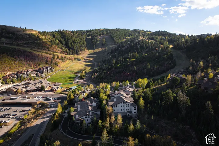 Mountain setting with surrounding mature trees and hillside landscaping