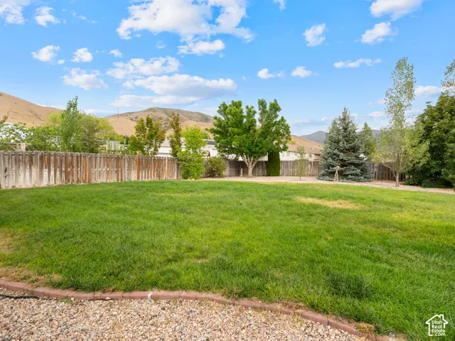 Expansive lawn area with a wood privacy fence, mature trees, and a gravel border