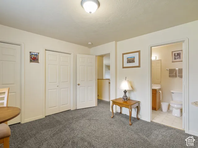 Gray textured carpeting, multiple panel doors, and a bathroom with tile flooring