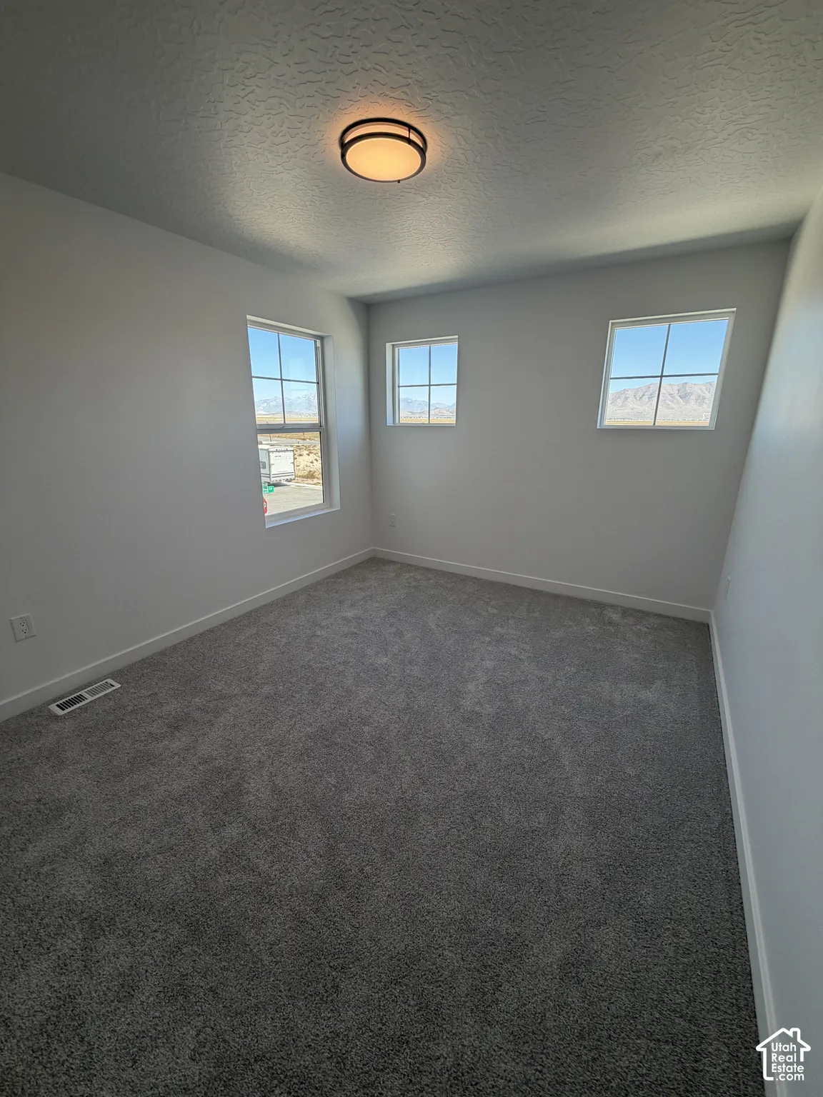 Neutral wall color, carpeted flooring, and three windows providing ample natural light