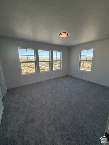 Plush gray carpeting, white painted walls, four windows with white frames, and a modern flush-mount ceiling light