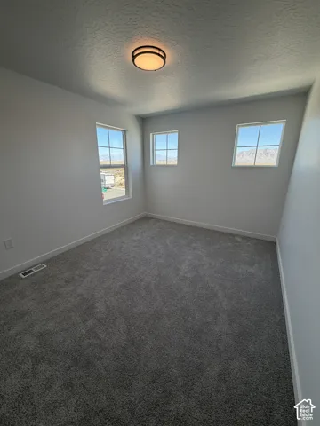 Neutral wall color, carpeted flooring, and three windows providing ample natural light