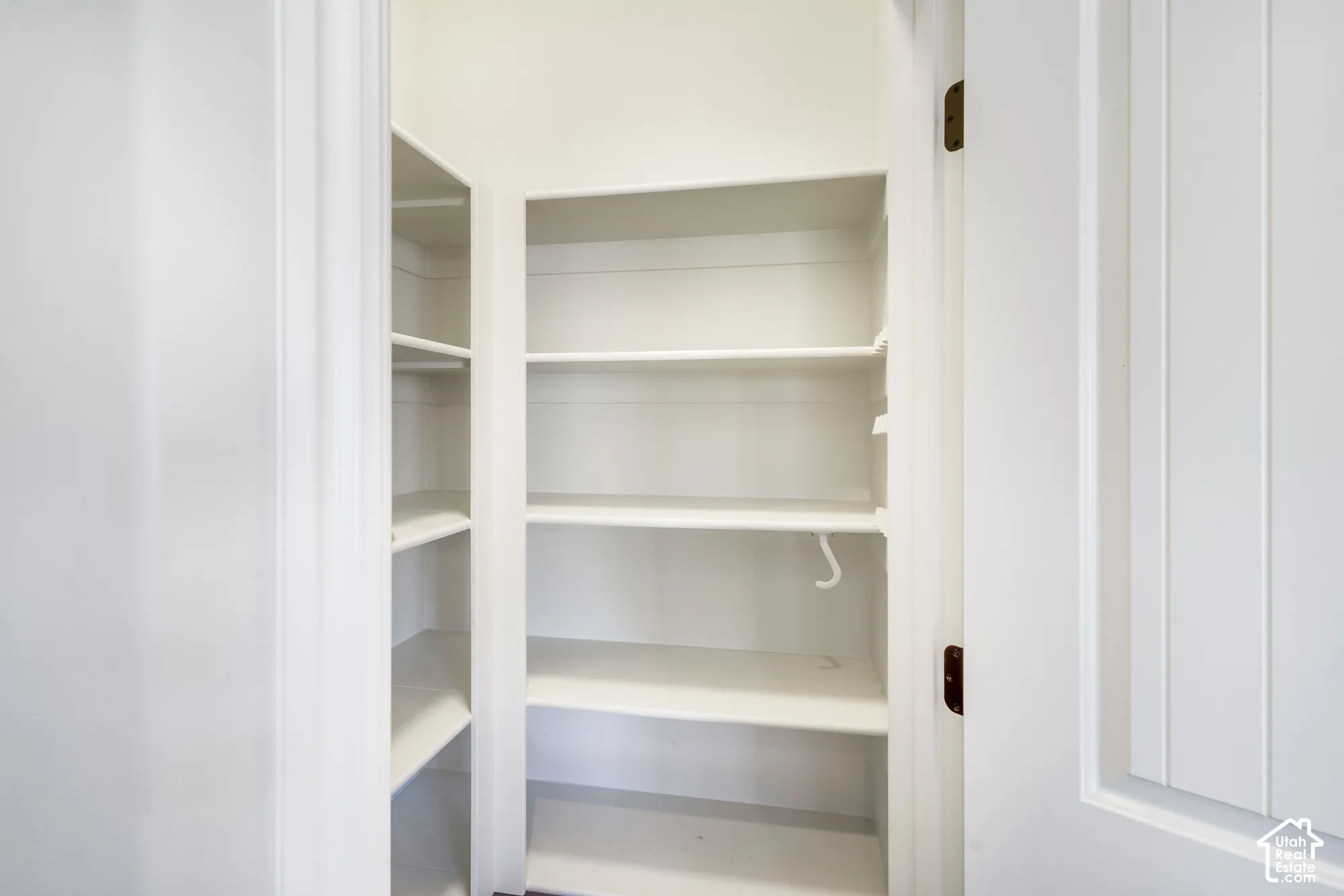 Built-in shelving with multiple levels, white finish, and a white door with vertical paneling